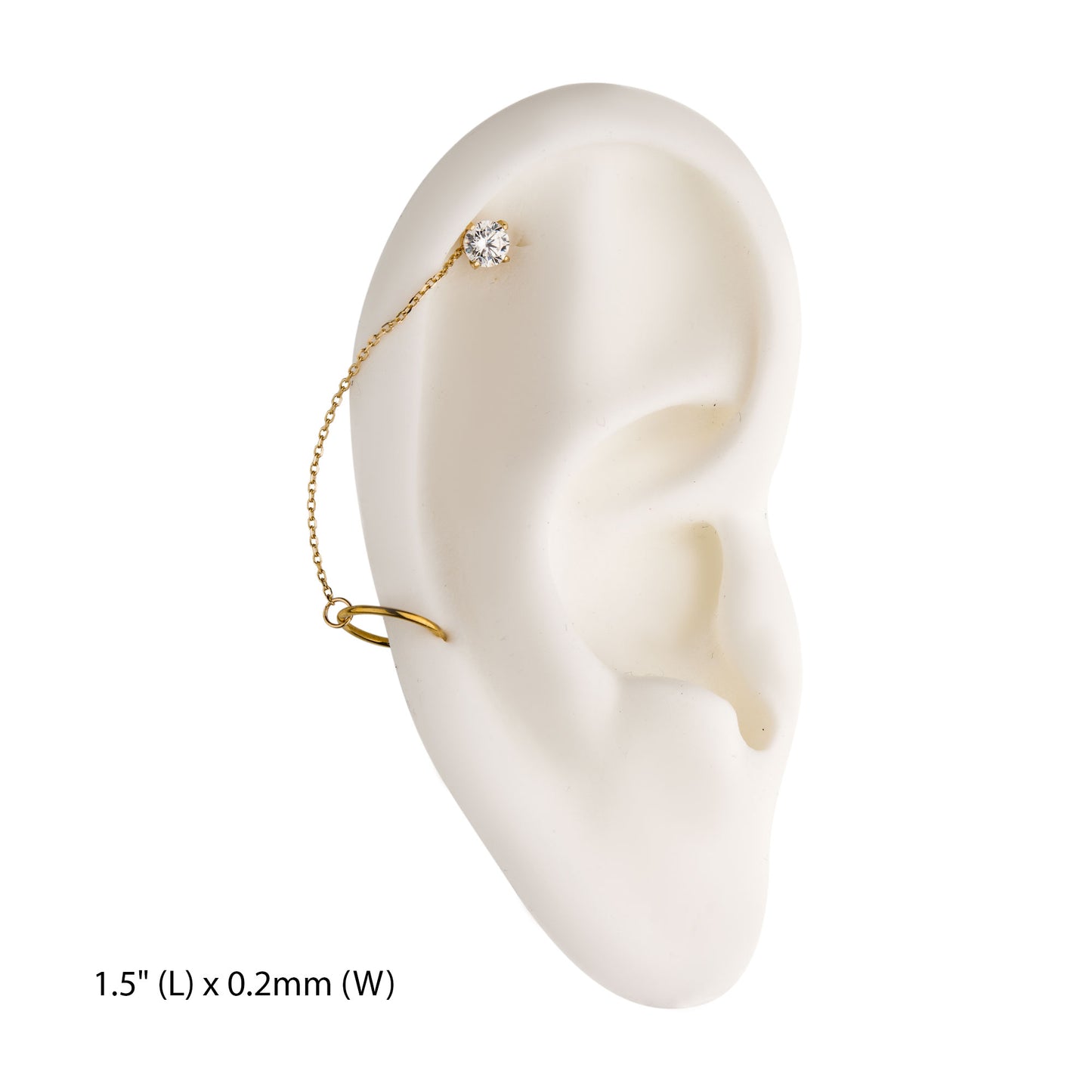 Invictus 14Kt Gold Chain