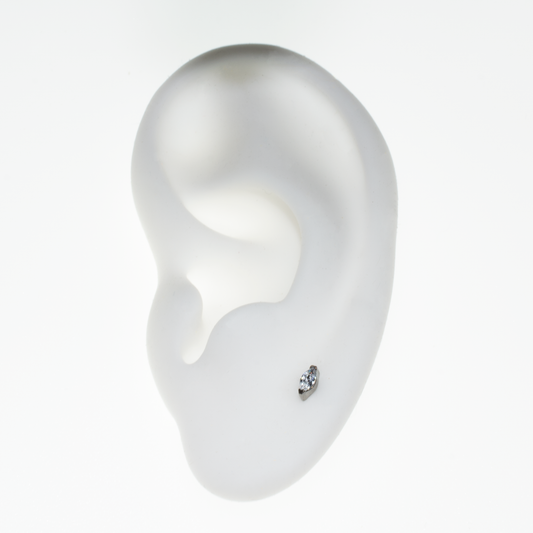 Invictus Marquise Top