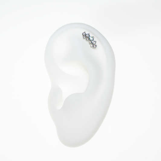 Invictus Suprium Cluster Top