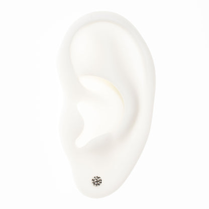 Junipurr - Hammered Disk