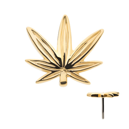 Invictus 14Kt Gold Pot Leaf Top