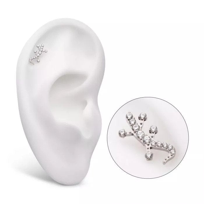 Invictus CZ Gekko Top