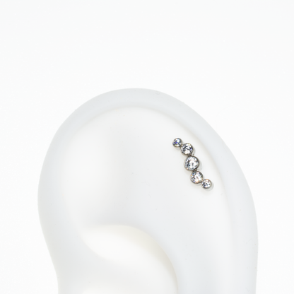 Invictus Oscillating Cluster Top