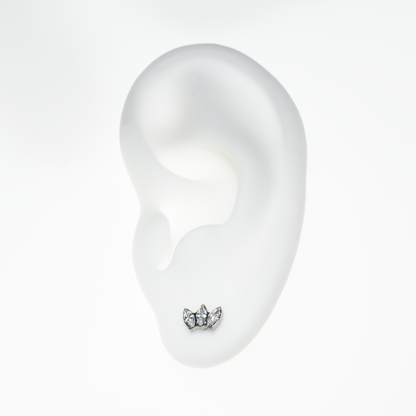 Invictus Marquise Fan Top